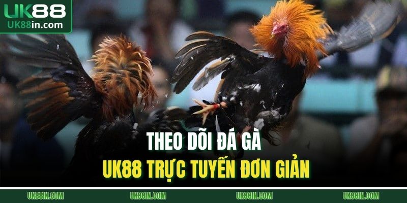 Theo dõi đá gà UK88 trực tuyến đơn giản